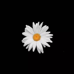 aaaZ0Osl00K另大全
